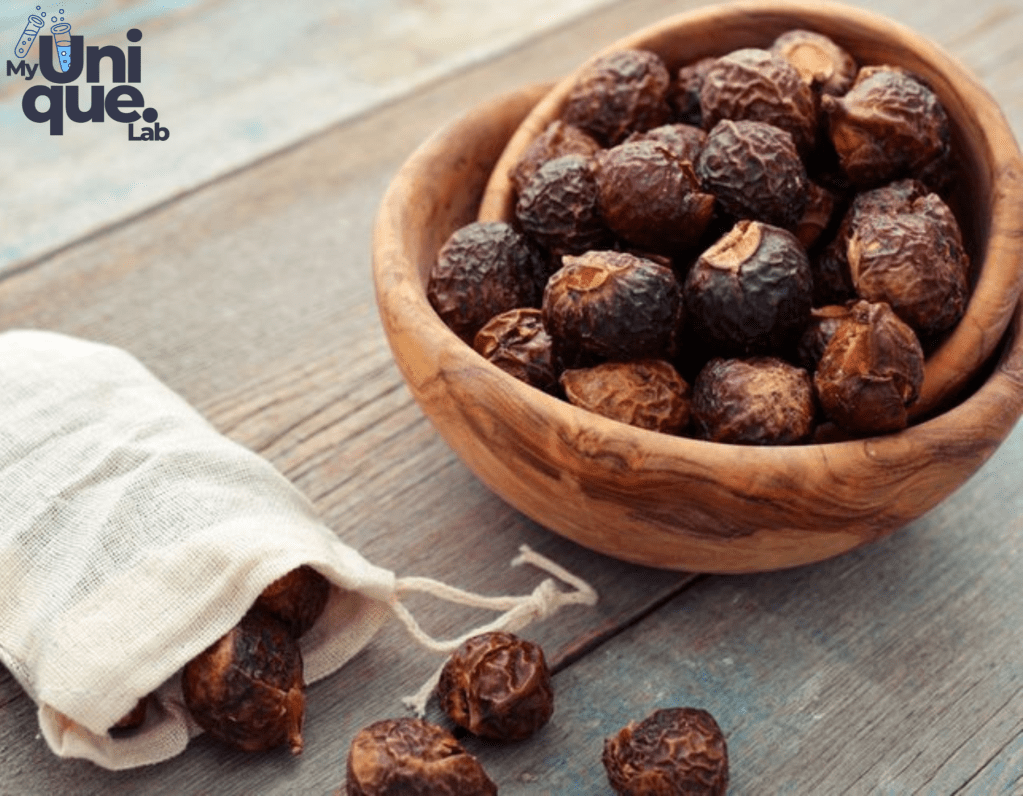 Manfaat Buah Lerak, Berfungsi Sebagai Sabun Dan Deterjen Alami Yang Aman Untuk&nbsp;Kulit